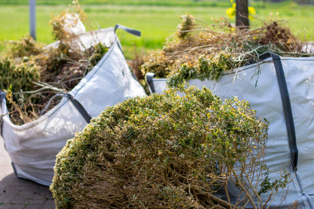Best Professional Junk Removal  in Aurora, CO